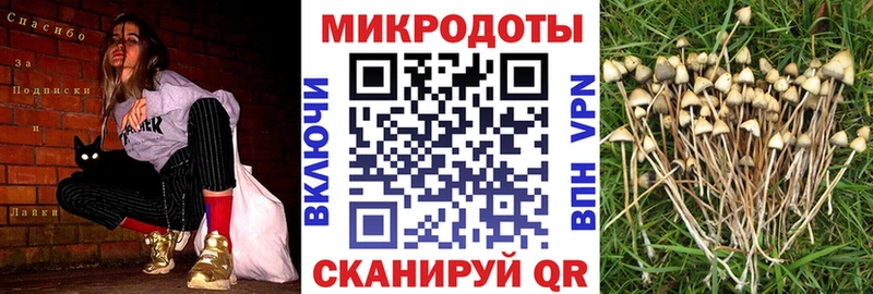 закладки Артём Галлюциногенные грибы мицелий